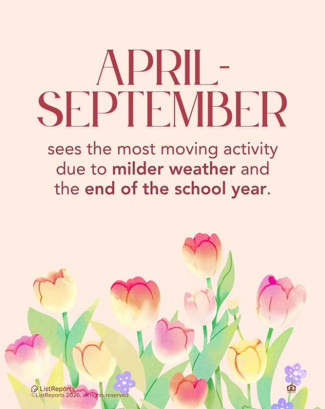 sellingwaukesha's tweet image. Spring is when the market heats up! 🌸🏡 Buyer demand rises, leading to faster home sales and more listings. With the right agent, this season could be your chance to find your dream home!
#REMAX #VinzCollective #Home #REALTOR #SellingWaukesha #Homeowner