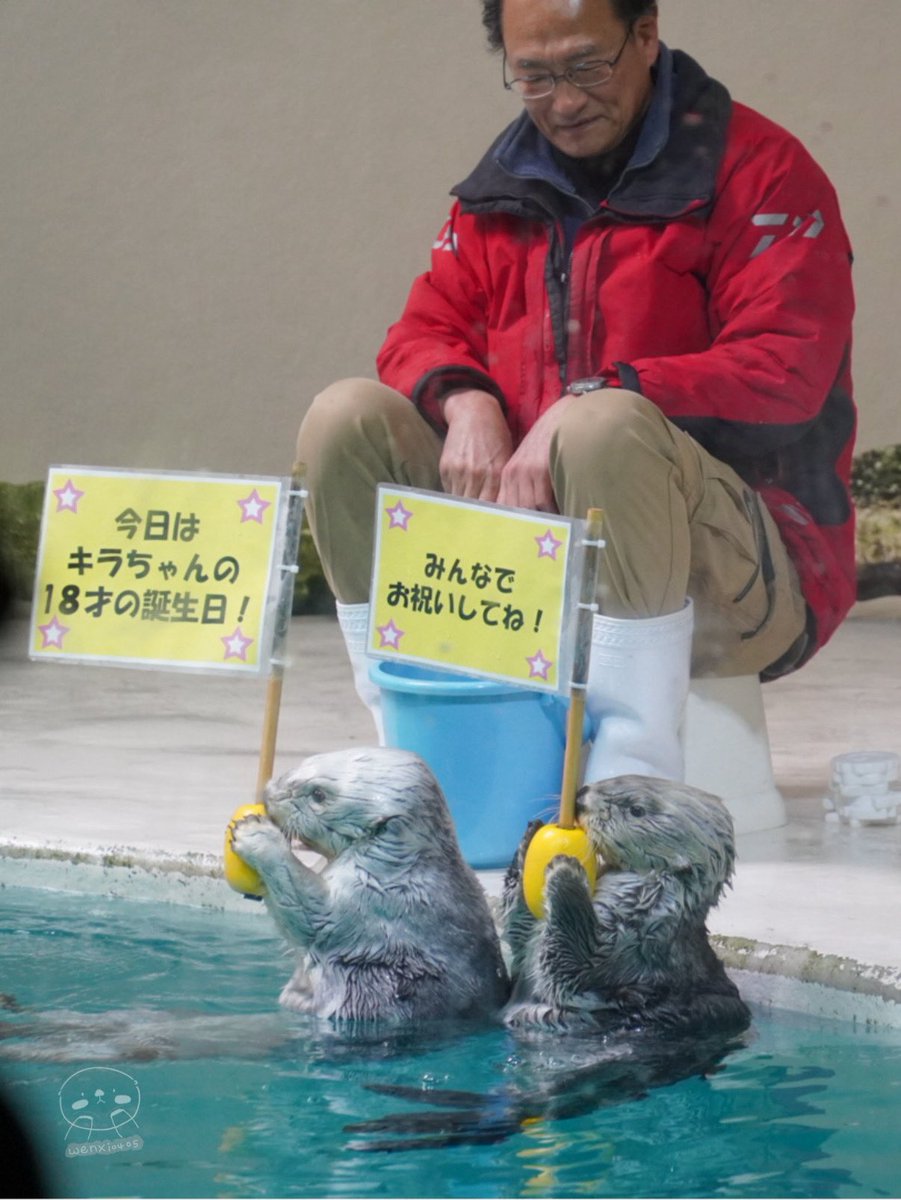 タピオカ tweet media