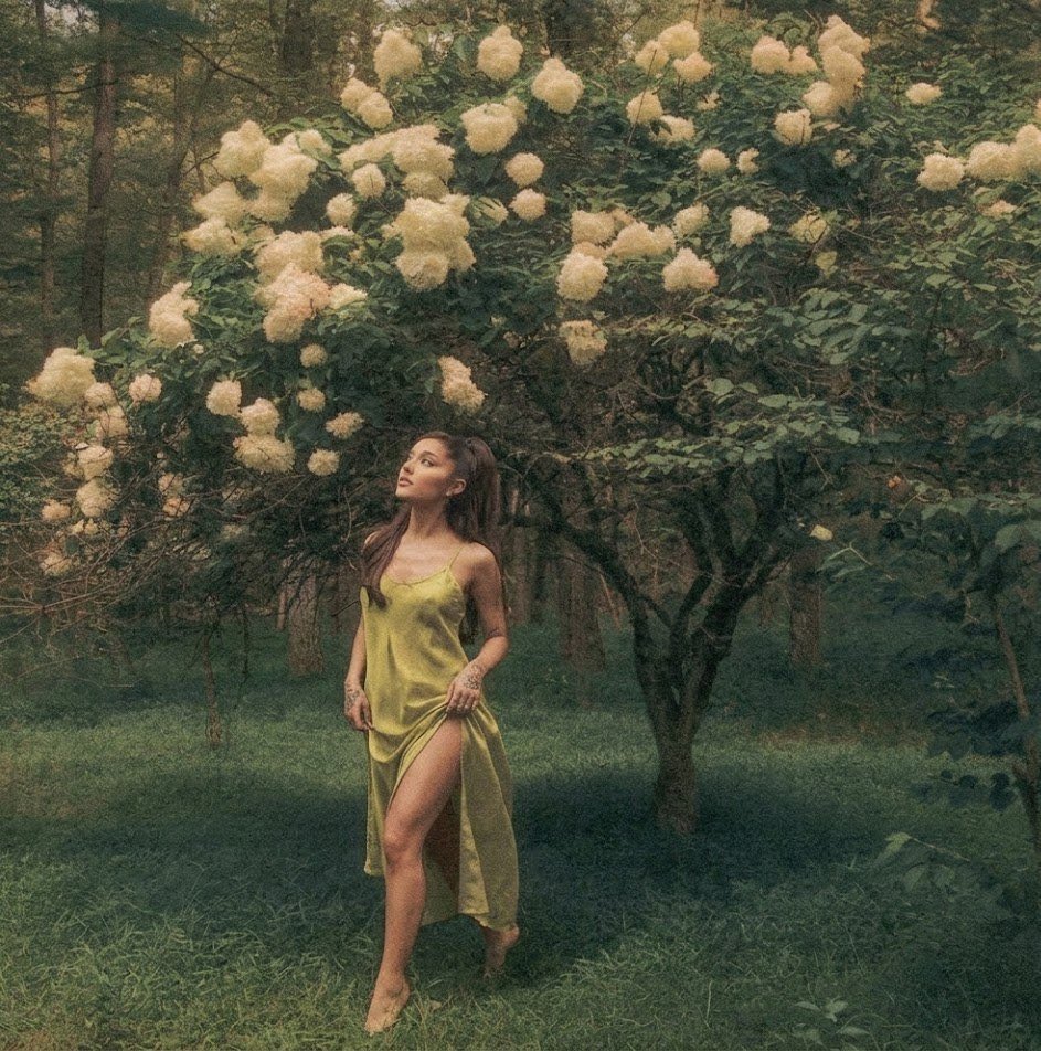 Leal ♡ tweet media