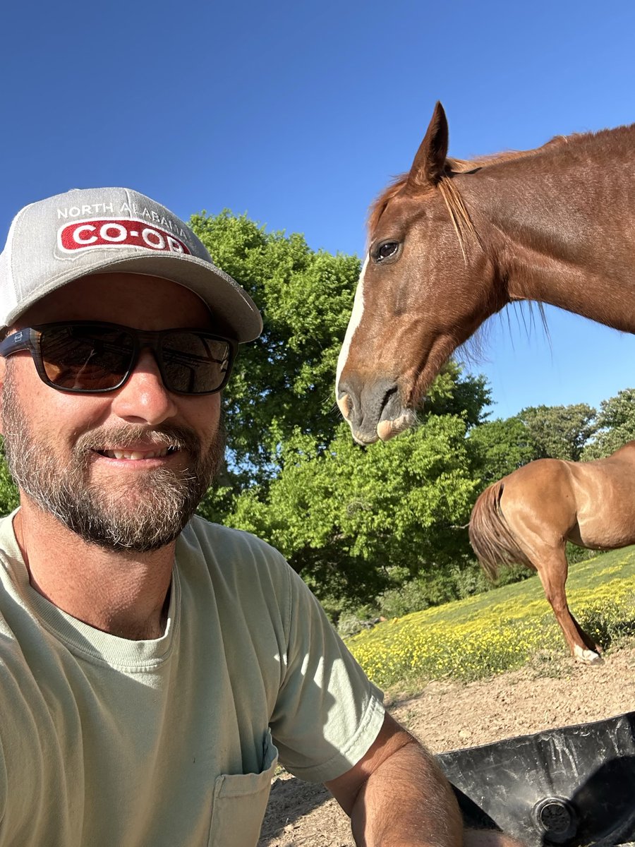 Jason Bartlett tweet media