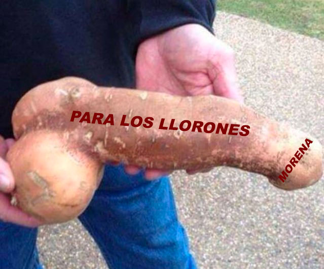 Emiliano Zapata tweet media