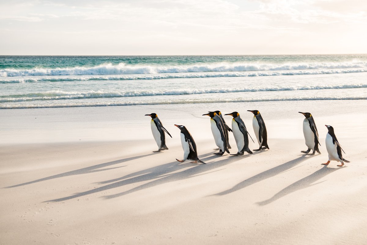 Yusuke Okada｜岡田裕介 tweet media