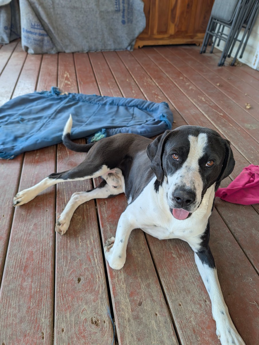 ⌬CatalyticComics⌬ tweet media