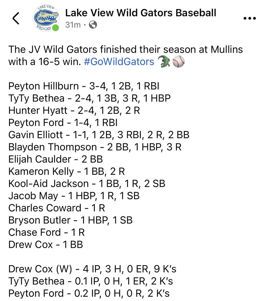 Lake View Baseball tweet media