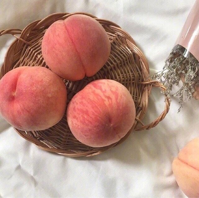 𝑆𝑒𝑟𝑎🌸 tweet media