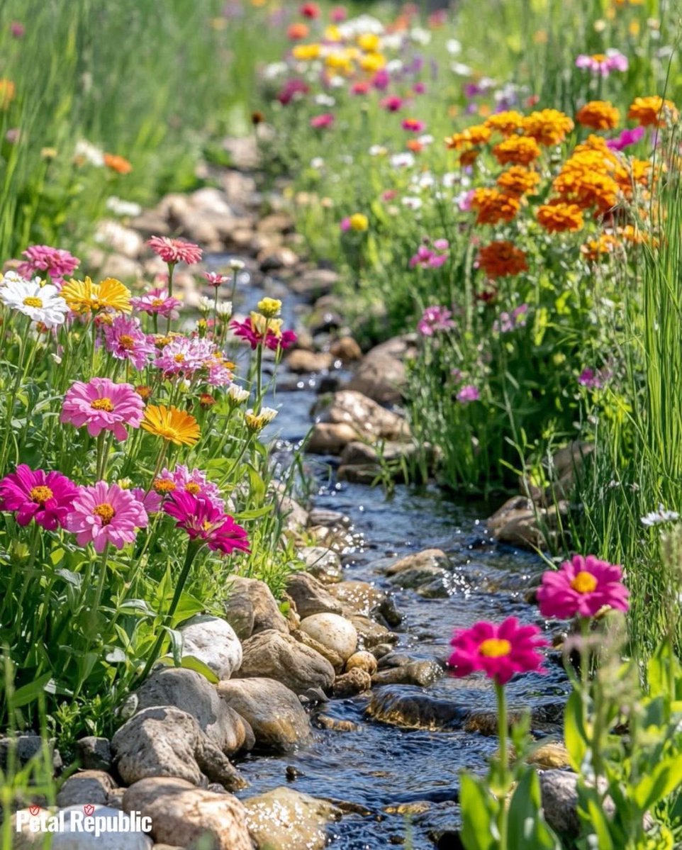 Have a peaceful day 🩵💛🌹🍀🌿✨💫