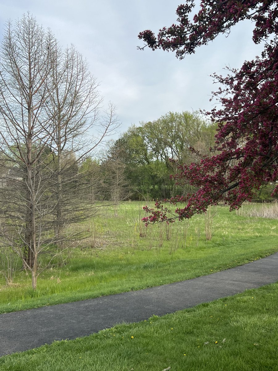 mediagurlruns's tweet image. Lowered the mileage for a quicker pace. That was the goal! (Plus, Monday night is salmon night - my favorite)! Gotta keep moving. 🙏🏼🏃🏻‍♀️ #run #runner #running #5miler