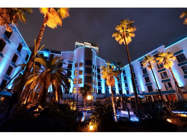 たぴこ㌠ tweet media