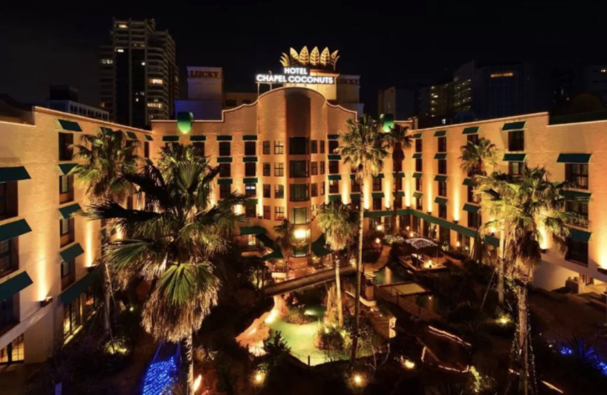 たぴこ㌠ tweet media