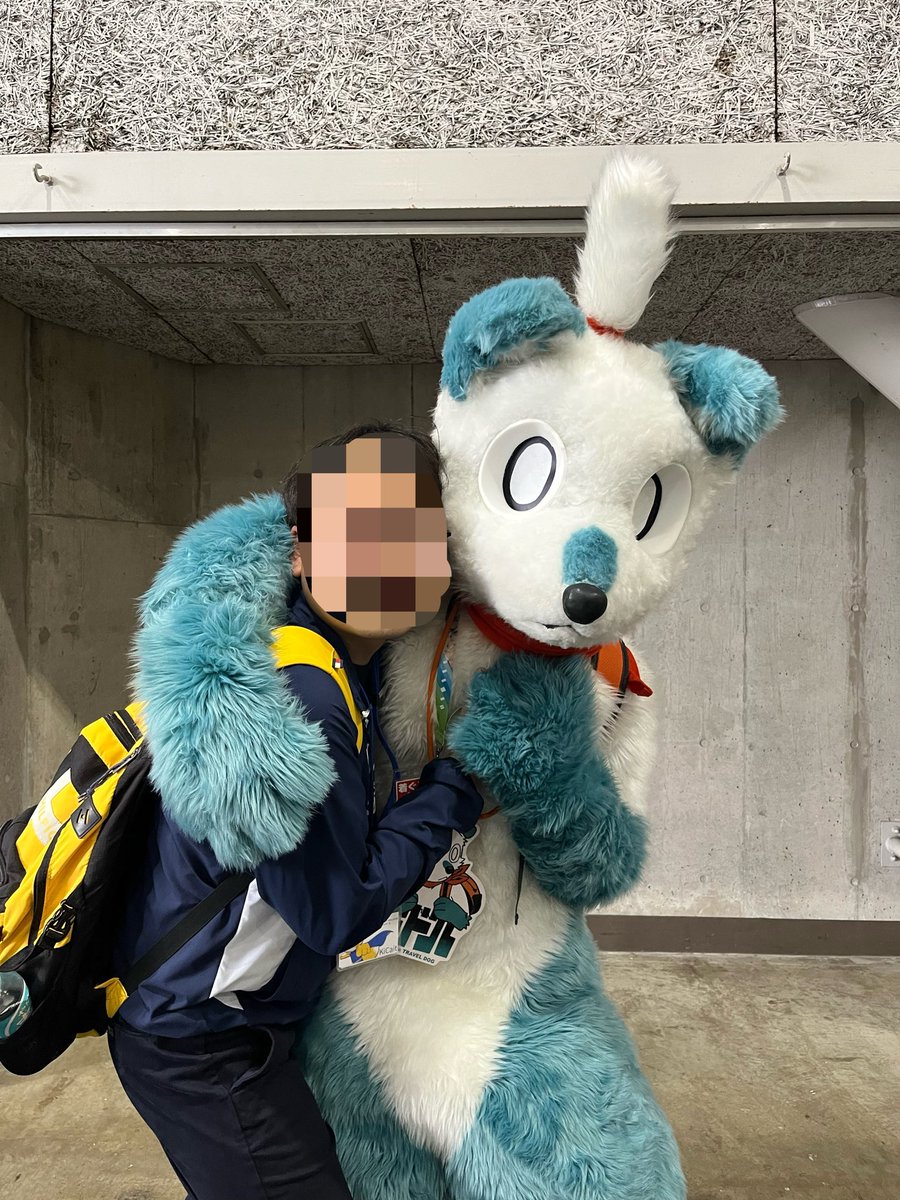 ki86foxcait's tweet photo. 部屋干しさん宅のホドル君を撮りました！
@HDL_TRVLDOG 
@ptb_3 
#関西けもケット11 https://t.co/Xkm2zH6tmB