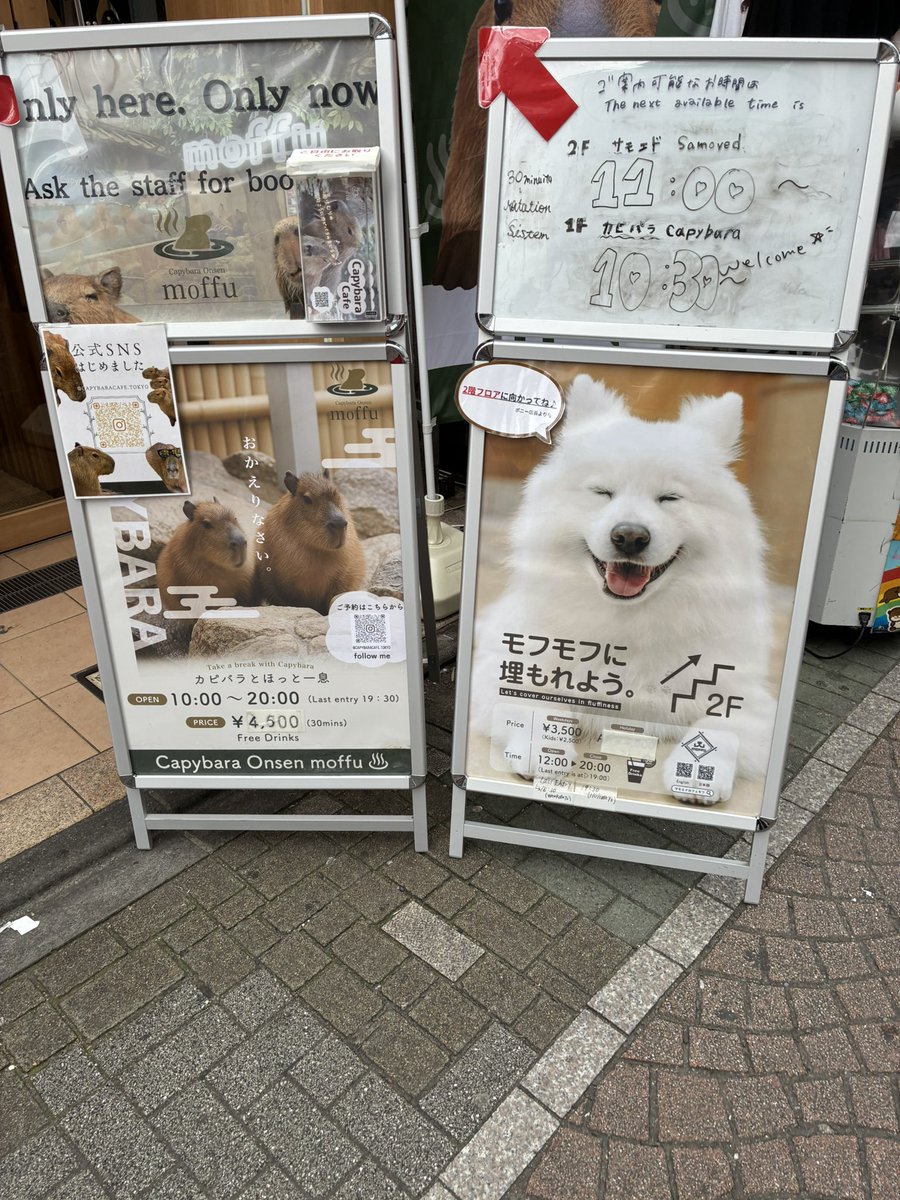 ウサ🌙 tweet media