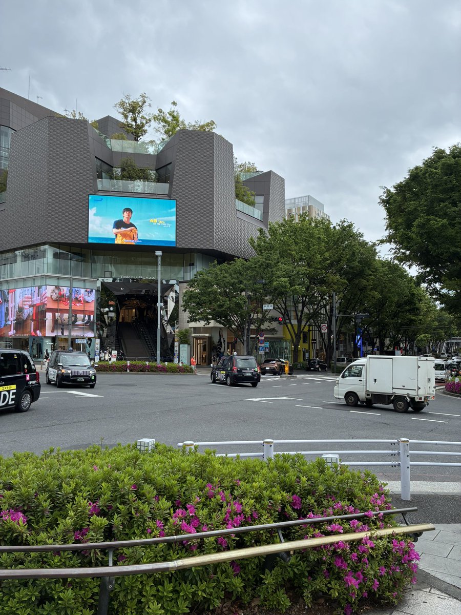 ウサ🌙 tweet media