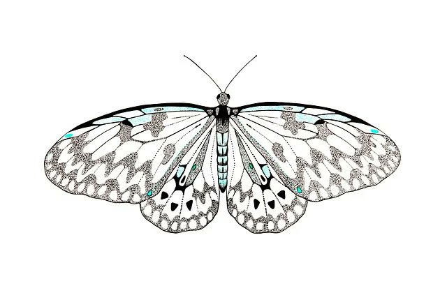 Roxie Beatrice tweet media