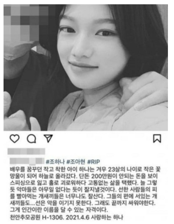 주팅스타 tweet media