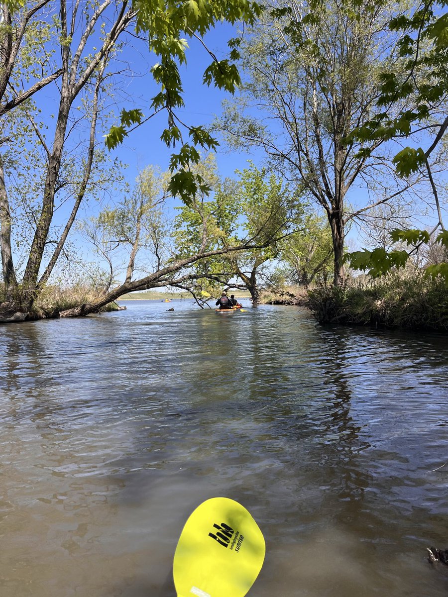 RunGalRun's tweet image. Thanks @NEGameandParks!  Bald eagles, goose nest, turtles……  the peace of nature nestled with exercise made a great day! Thankful for the cooperation that allowed students from @LPSorg  and @nwuhhp to #GetOutside! #OutdoorAdventure