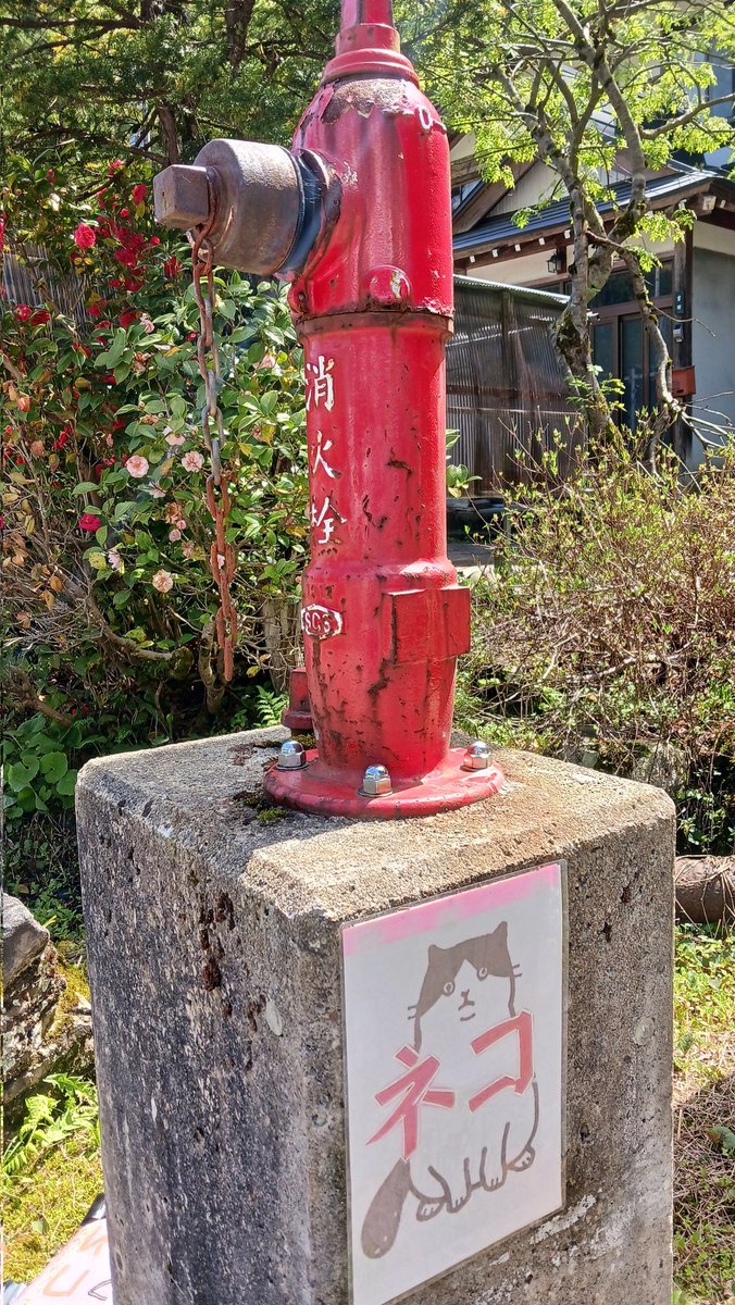 ユースケ🐼パンダマニア tweet media