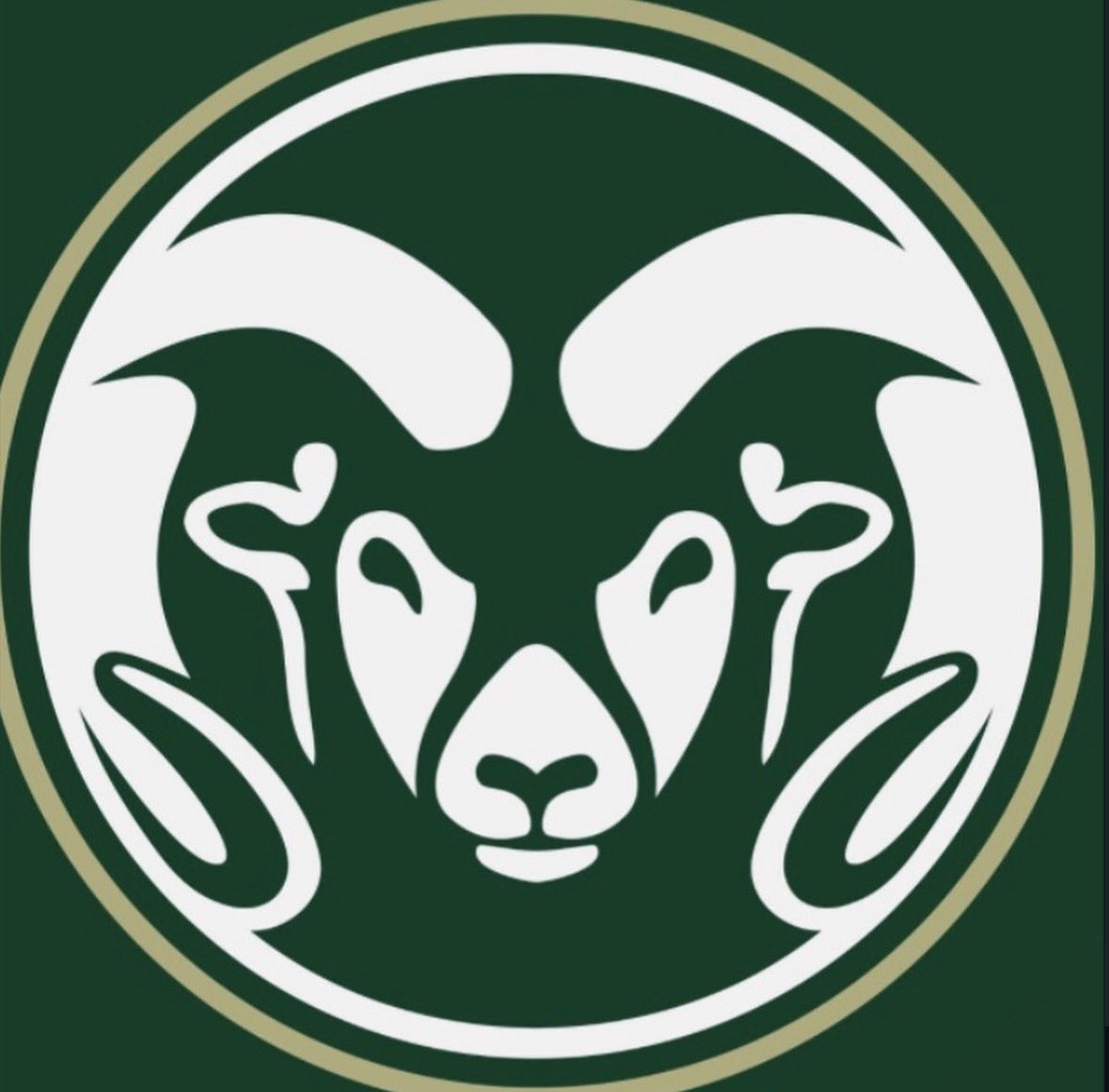 5 THE ATHLETE tweet media