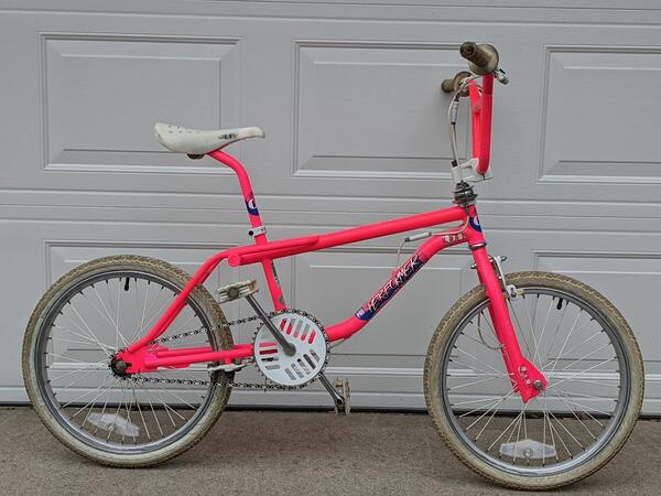 Donny Tucker tweet media