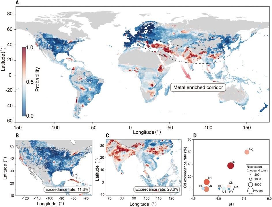 ScienceMagazine's tweet photo. In a 2025 Science study, researchers estimated that as many as 1.4 billion people live in areas with soil dangerously polluted by heavy metals like arsenic, cadmium, cobalt, chromium, copper, nickel, and lead. 

The results reveal a global risk, but also a previously unrecognized high-risk, metal-enriched zone in low-latitude Eurasia. https://t.co/MtOzTvQniO #ScienceMagArchives