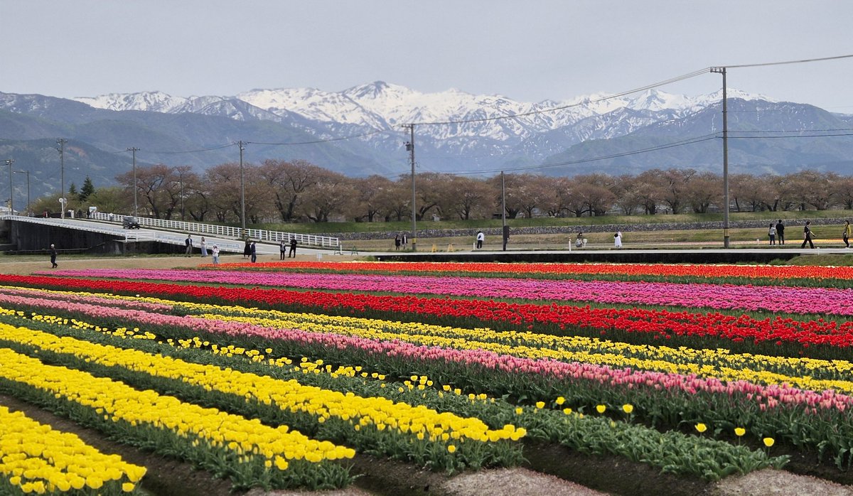 ひととせ tweet media