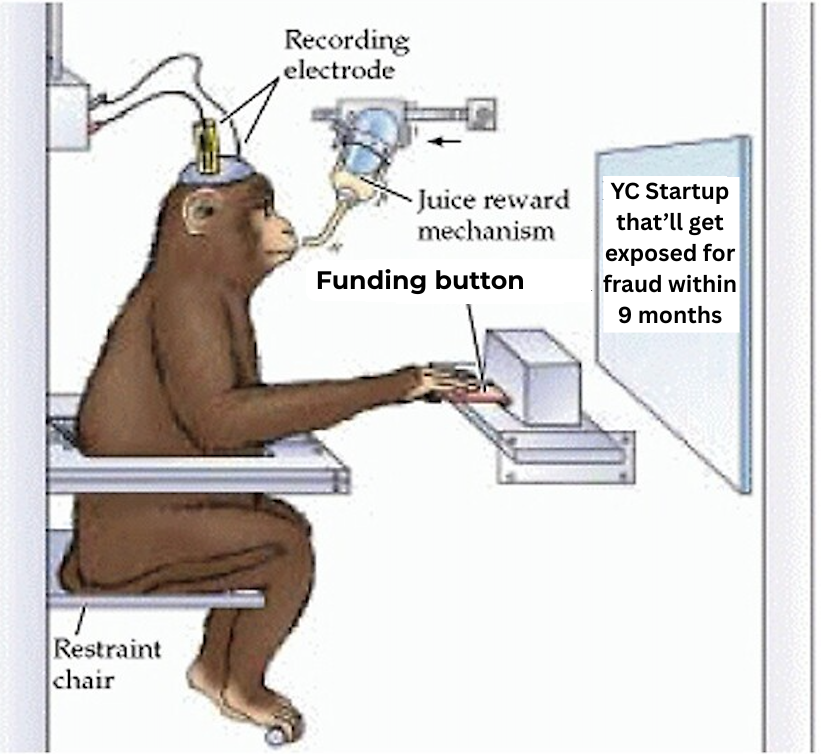 Jack Kuveke tweet media
