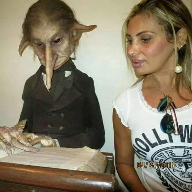 Lili ✨️ tweet media