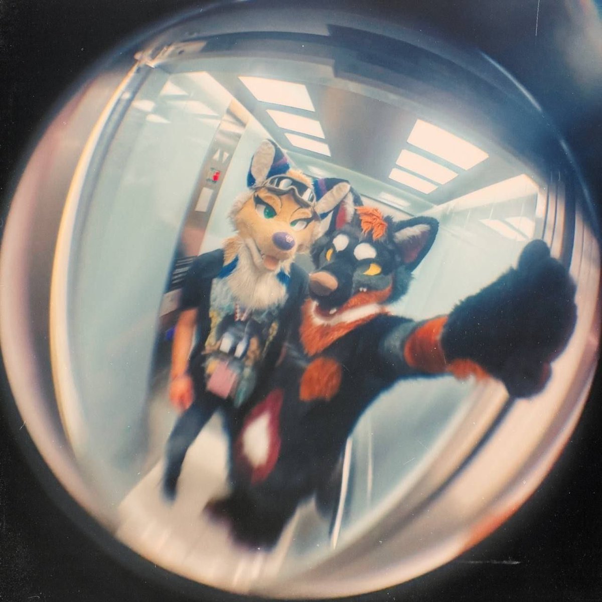 Dusty 🔜 Furdu26 tweet media