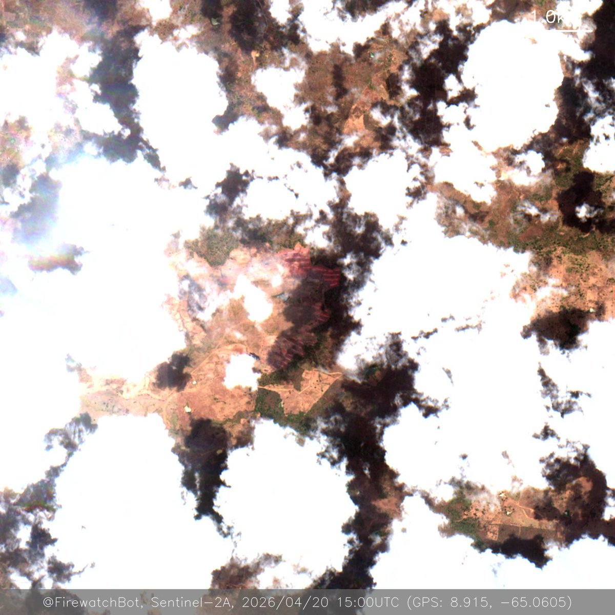 firewatchbot's tweet image. Fire detected from #Sentinel2

🗺 Place: Santa María de Ipire, Guárico, #Venezuela
🕛 Date: 2026/04/20 15:00UTC

View location: maps.google.com/?q=8.915032360… (8.915, -65.0605)