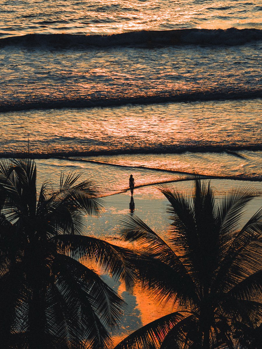 Purely Green tweet media