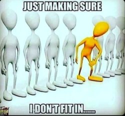 mau tweet media