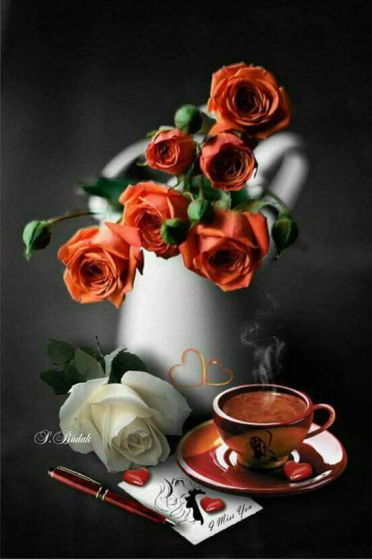 MARIA LUISA tweet media