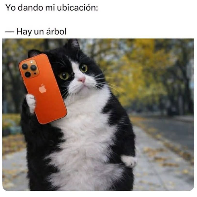 MadurarV24093's tweet image. Con toda la precisión que necesitan.

#memes #ubicación