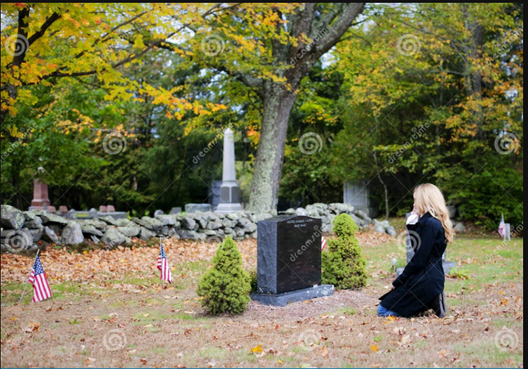 Netmilsmom tweet media