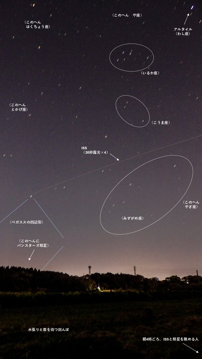 JAXA_Kiboriyo's tweet image. 先日の #きぼうを見よう 写真を #星空解説 (´▽｀)
朝4時ごろの撮影中に空がどんどん明るくなり、夜明けが早くなったなあと感じたそう。
低空にはパンスターズ彗星☄ #ISS は秋の星座（こうま座・みずがめ座など）の間を横切りました。
秋の星は明け方の東の空。季節の移ろいを感じます🌟 #星空案内人