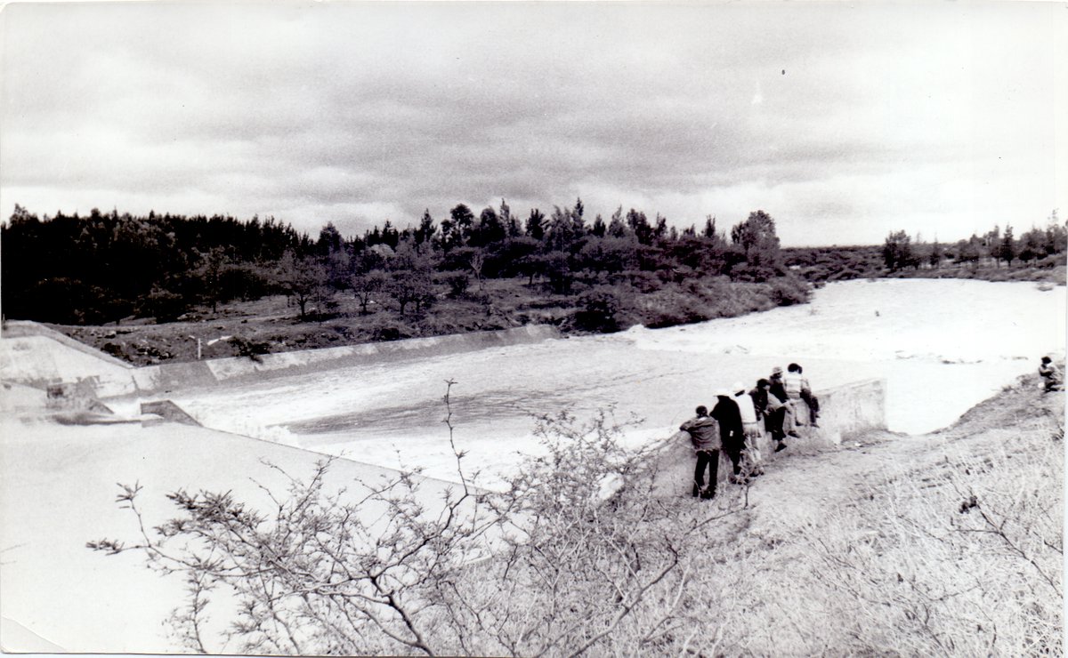 Leonendigital tweet media