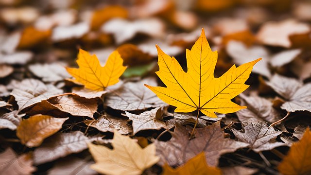 Tasha Ramos tweet media