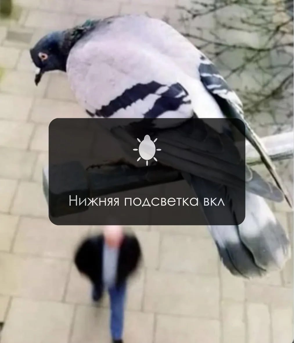 Во///дь™ tweet media