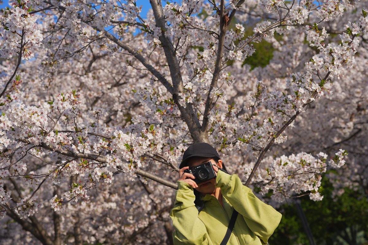 mike0613's tweet image. #街撮り
#SonyAlpha 
#α7V
#桜
#大阪
