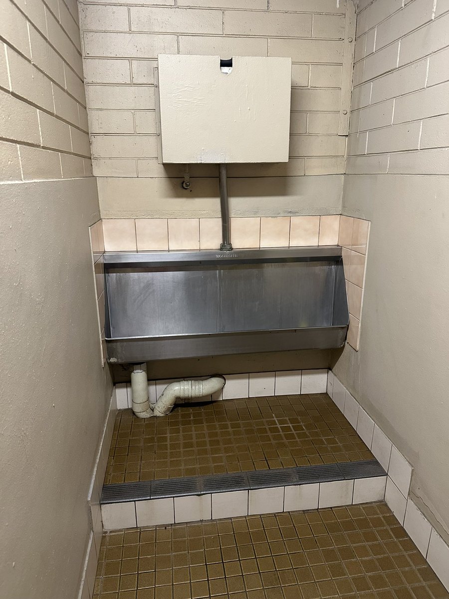 Dans Gay tweet media