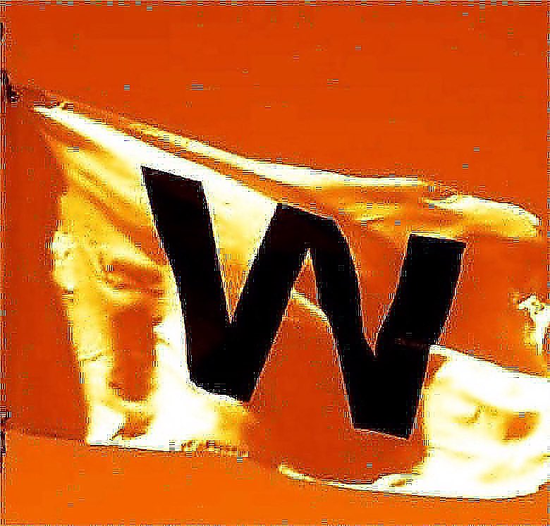 WWS Tigers BVB tweet media