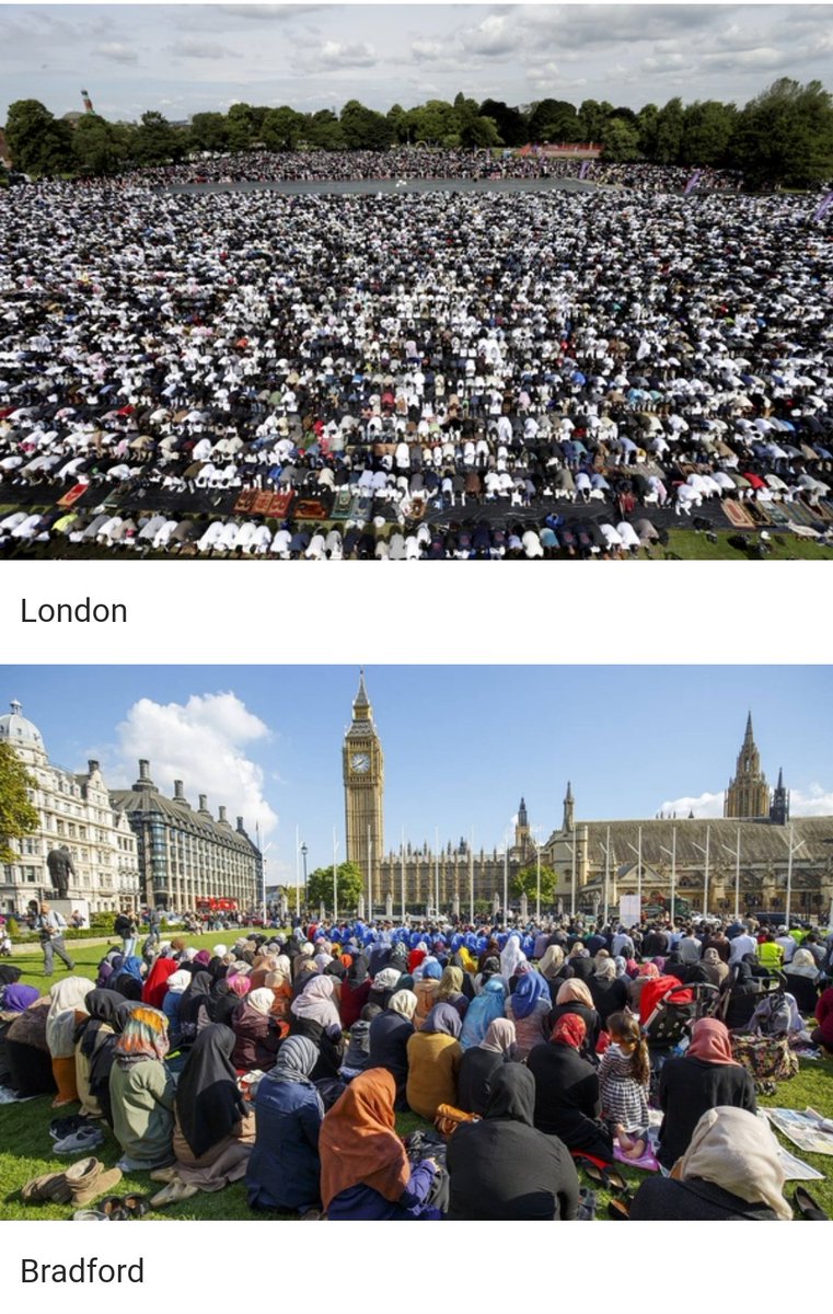 Emerald007 🇮🇪 tweet media