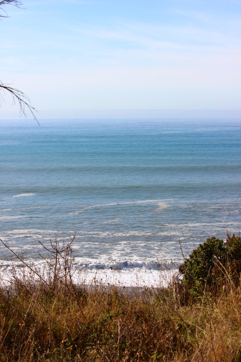 elguerolanchero's tweet image. #northerncalifornia #ocean #scenicview