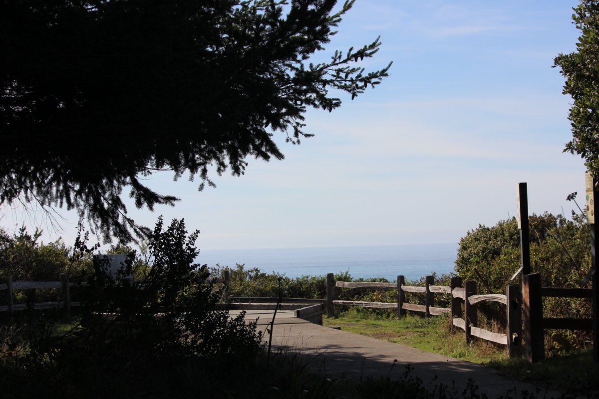 elguerolanchero's tweet image. #northerncalifornia #ocean #scenicview
