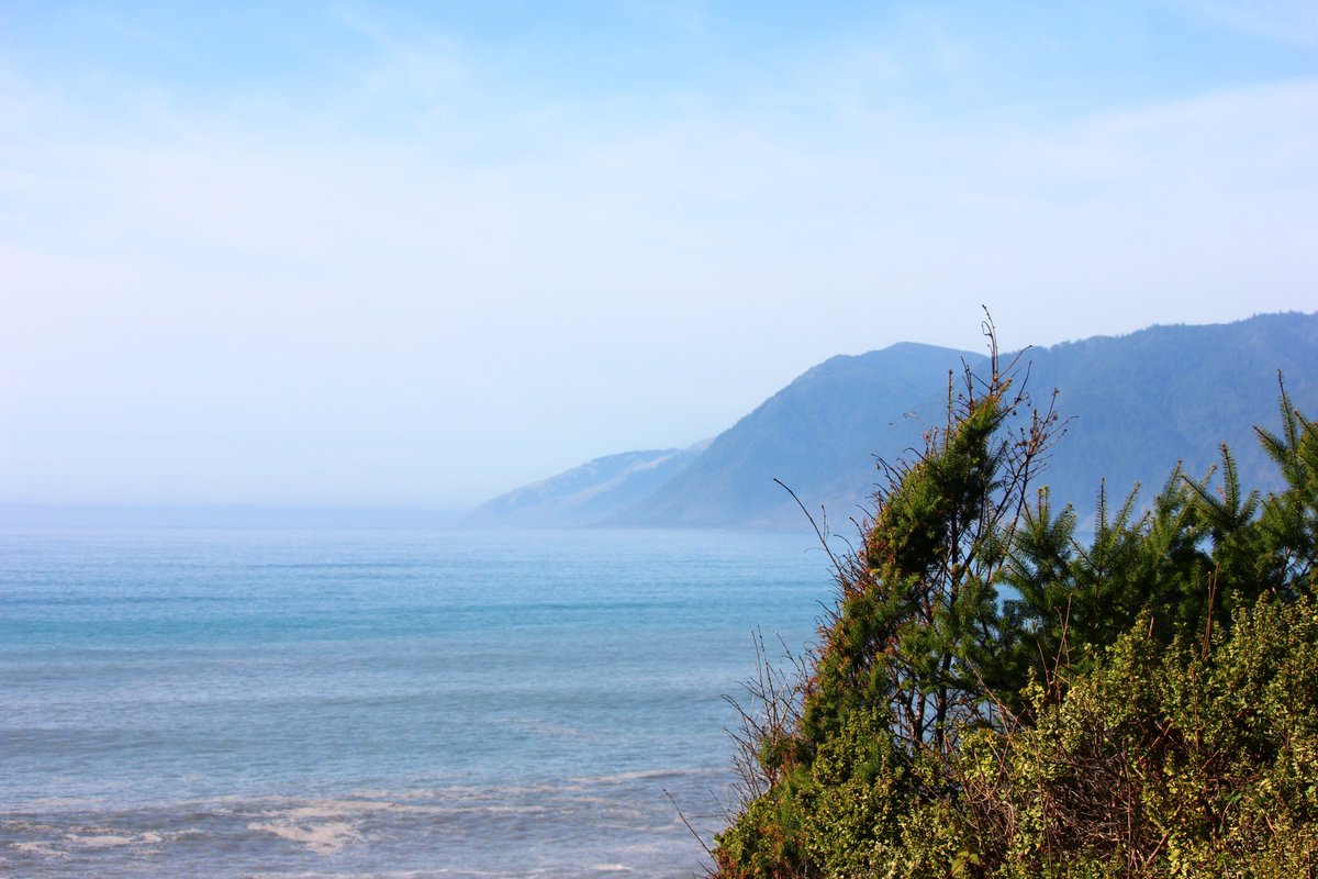 elguerolanchero's tweet image. #northerncalifornia #ocean #scenicview