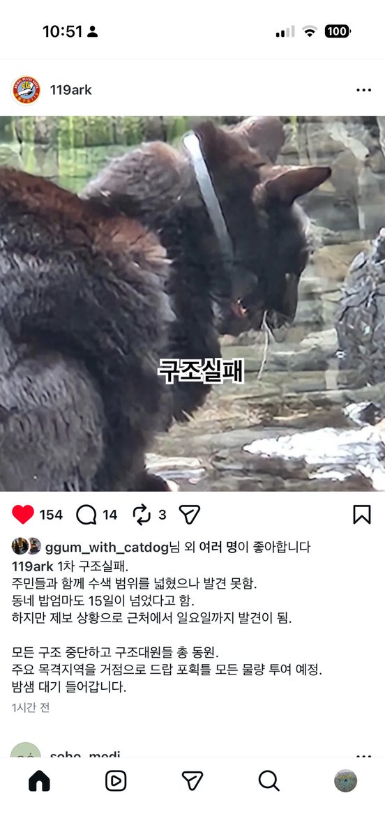목조리개 낀 애옹이
제발 나타나 살아줘
동네분들도 엄청  찾고 있대요
제발