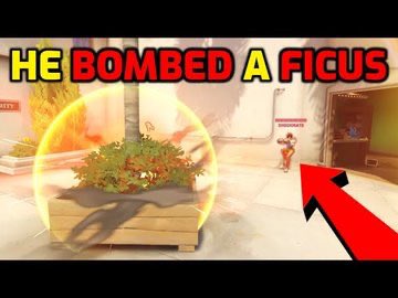 zensational tweet media