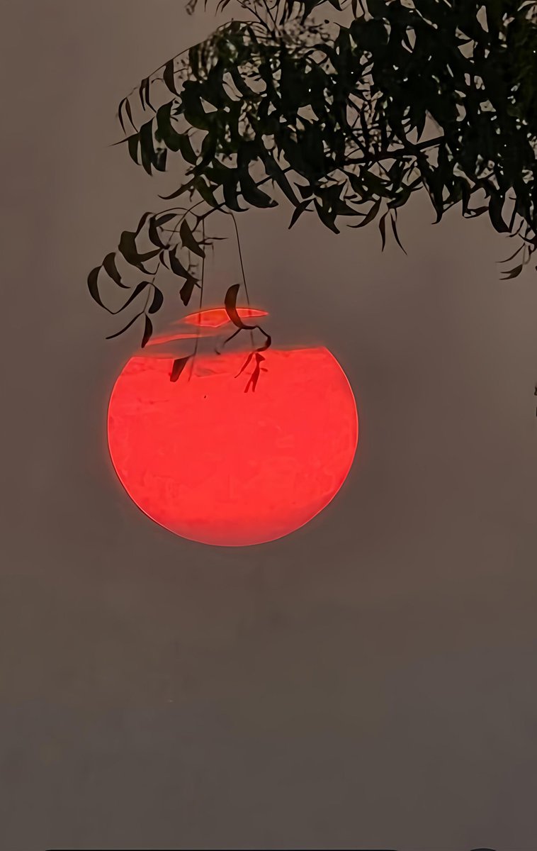 ahujasun's tweet image. Sunrise teaches us softly—
even the fiercest red melts into hope. ❤️☀️
A new day, a fresh chance, and endless possibilities waiting to bloom.

#GoodMorning #Sunrise 
#PositiveVibes #MorningMotivation #Hope 
#NewBeginnings #NatureLovers #PeacefulMorning #Blessed 
#Inspiration