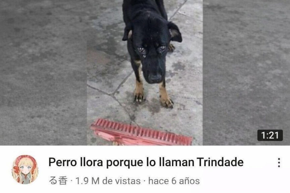 nene (@nenedelcap) on Twitter photo 