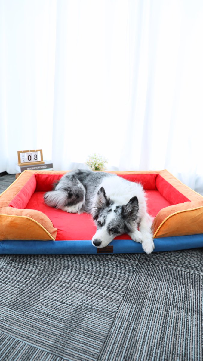 ComfortExpca's tweet image. Style meets snuggles. 🧸✨

🛋 Living room ready.
☁ All-day comfy.

Because they deserve the best of both worlds. 🐾

#dogoftheday #dogbed #ComfortExpression #DogLife #PetEssentials