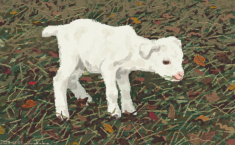 junkuma (@j_kmor) on Twitter photo 